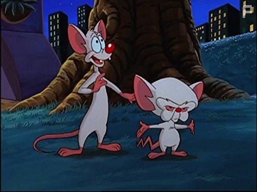 Пинки и Брейн (1995)