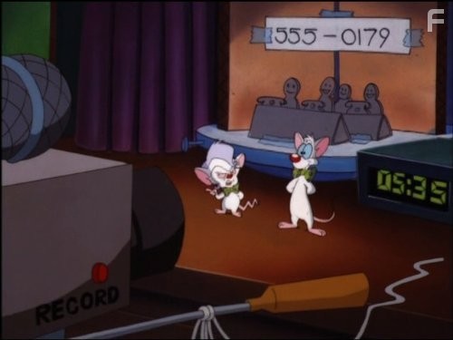 Пинки и Брейн (1995)