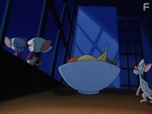 Пинки и Брейн (1995)