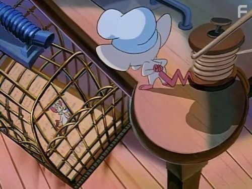 Пинки и Брейн (1995)