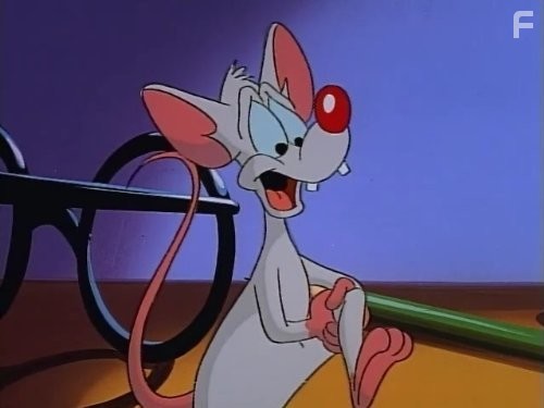 Пинки и Брейн (1995)