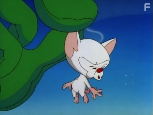 Пинки и Брейн (1995)