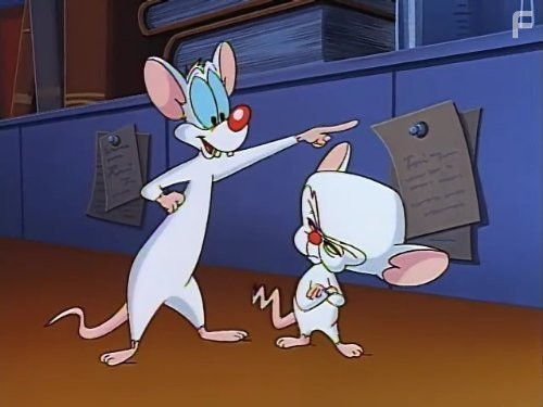 Пинки и Брейн (1995)