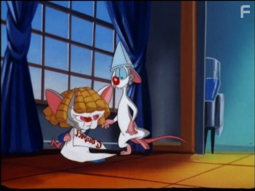 Пинки и Брейн (1995)