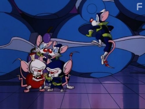 Пинки и Брейн (1995)