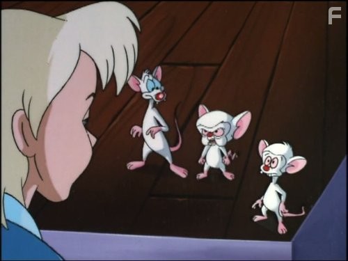 Пинки и Брейн (1995)