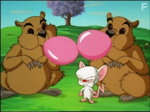 Пинки и Брейн (1995)