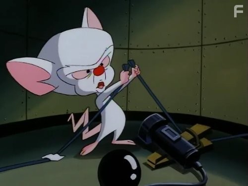 Пинки и Брейн (1995)