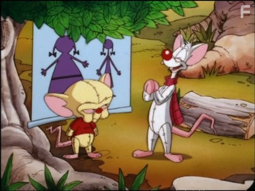 Пинки и Брейн (1995)