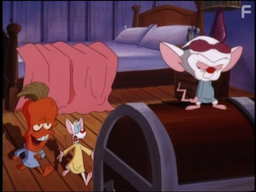 Пинки и Брейн (1995)