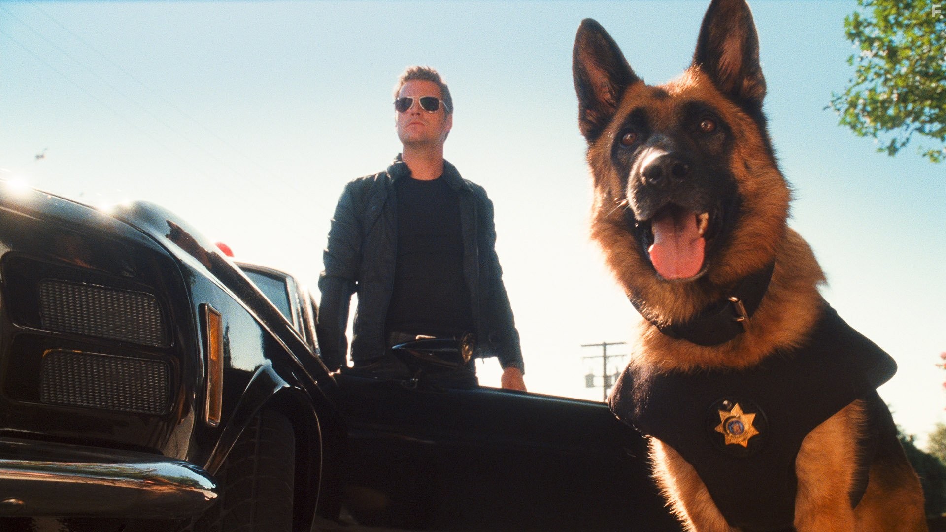 Chris O'Donnell in Кошки против собак: Месть Китти Галор (2010)