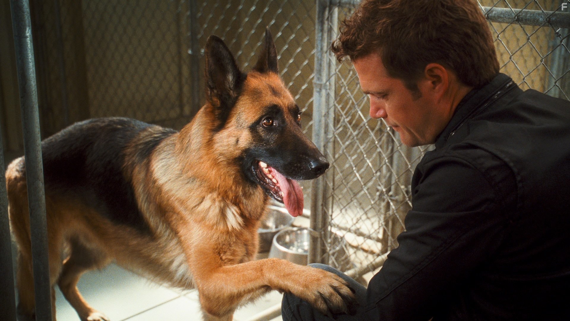 Chris O'Donnell in Кошки против собак: Месть Китти Галор (2010)