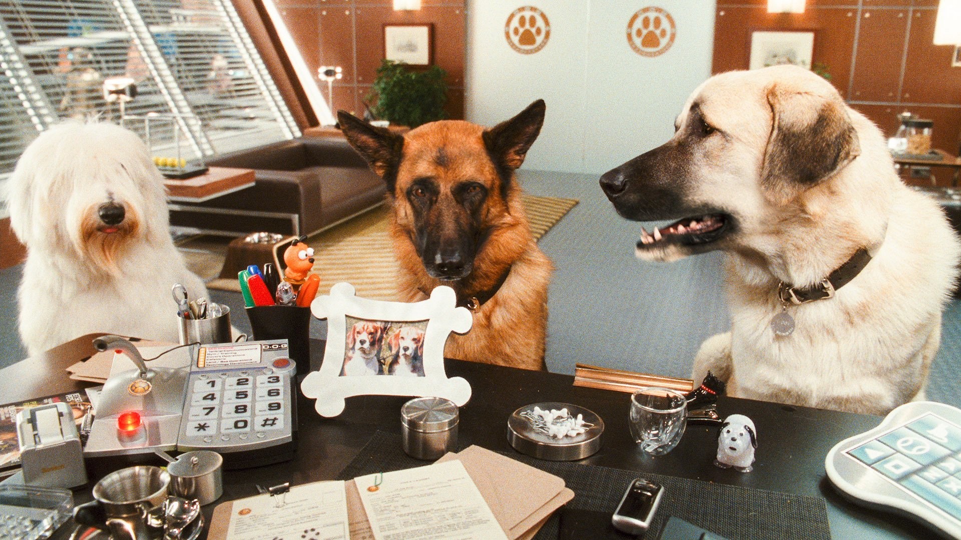 Кошки против собак: Месть Китти Галор (2010)