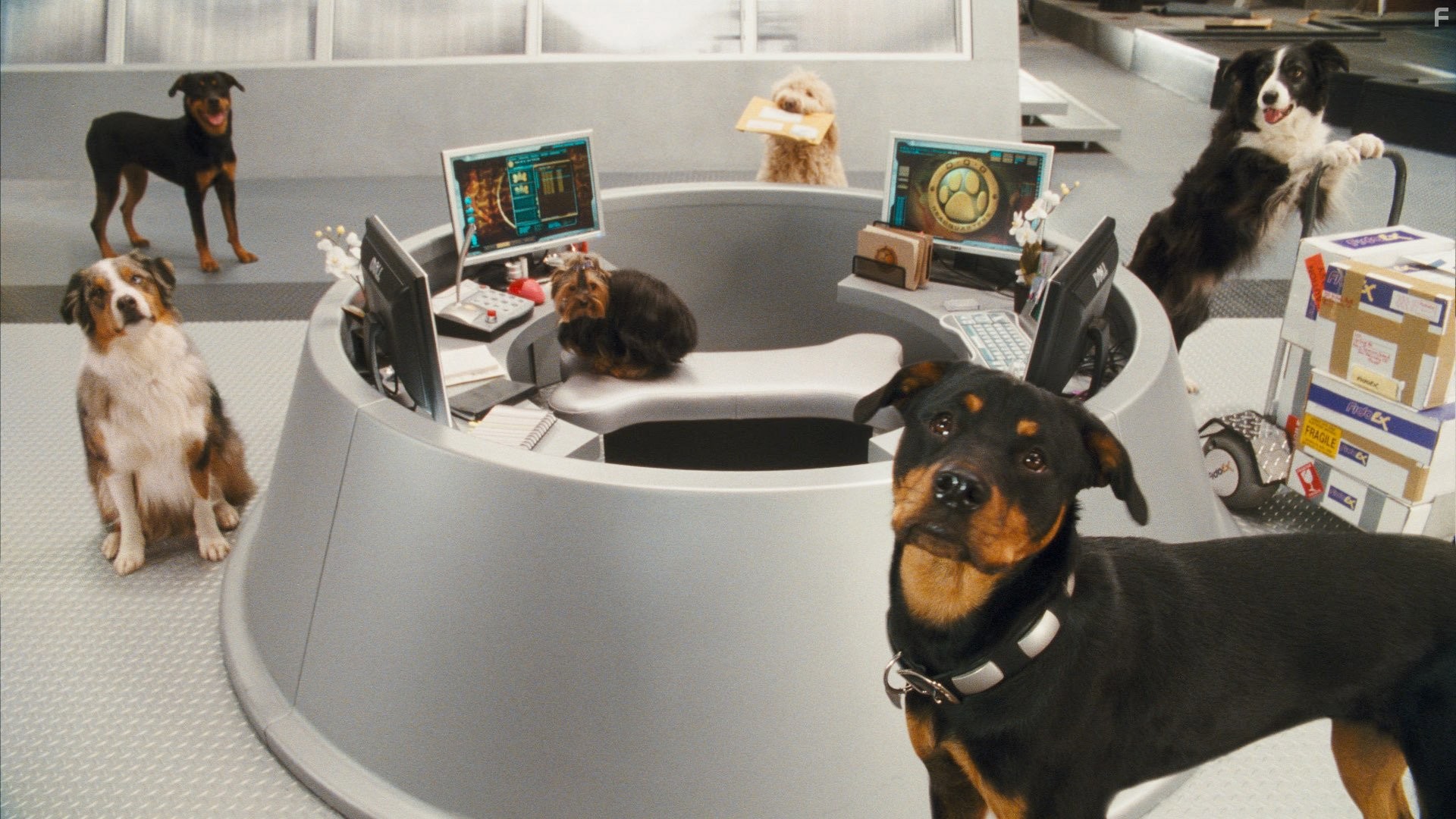 Кошки против собак: Месть Китти Галор (2010)