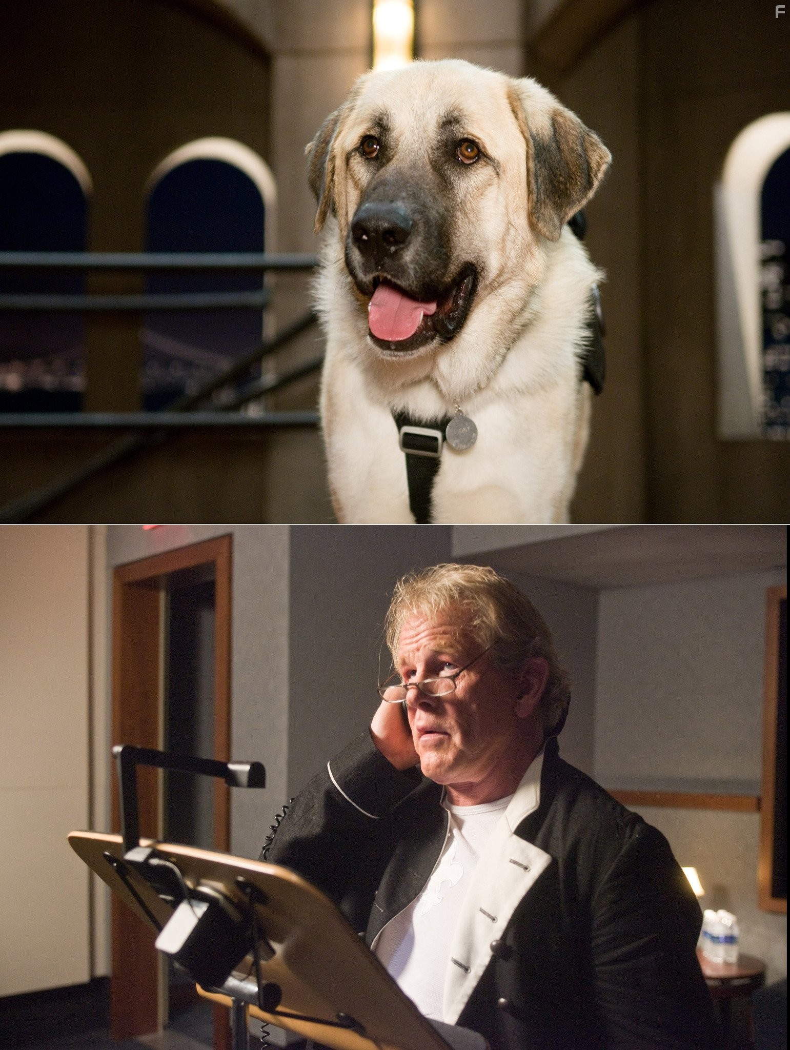 Nick Nolte in Кошки против собак: Месть Китти Галор (2010)