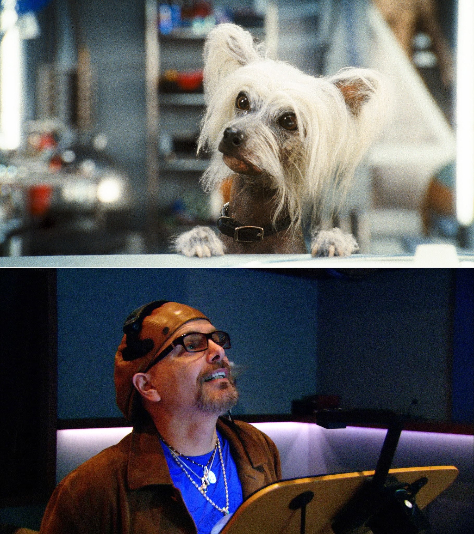 Joe Pantoliano in Кошки против собак: Месть Китти Галор (2010)