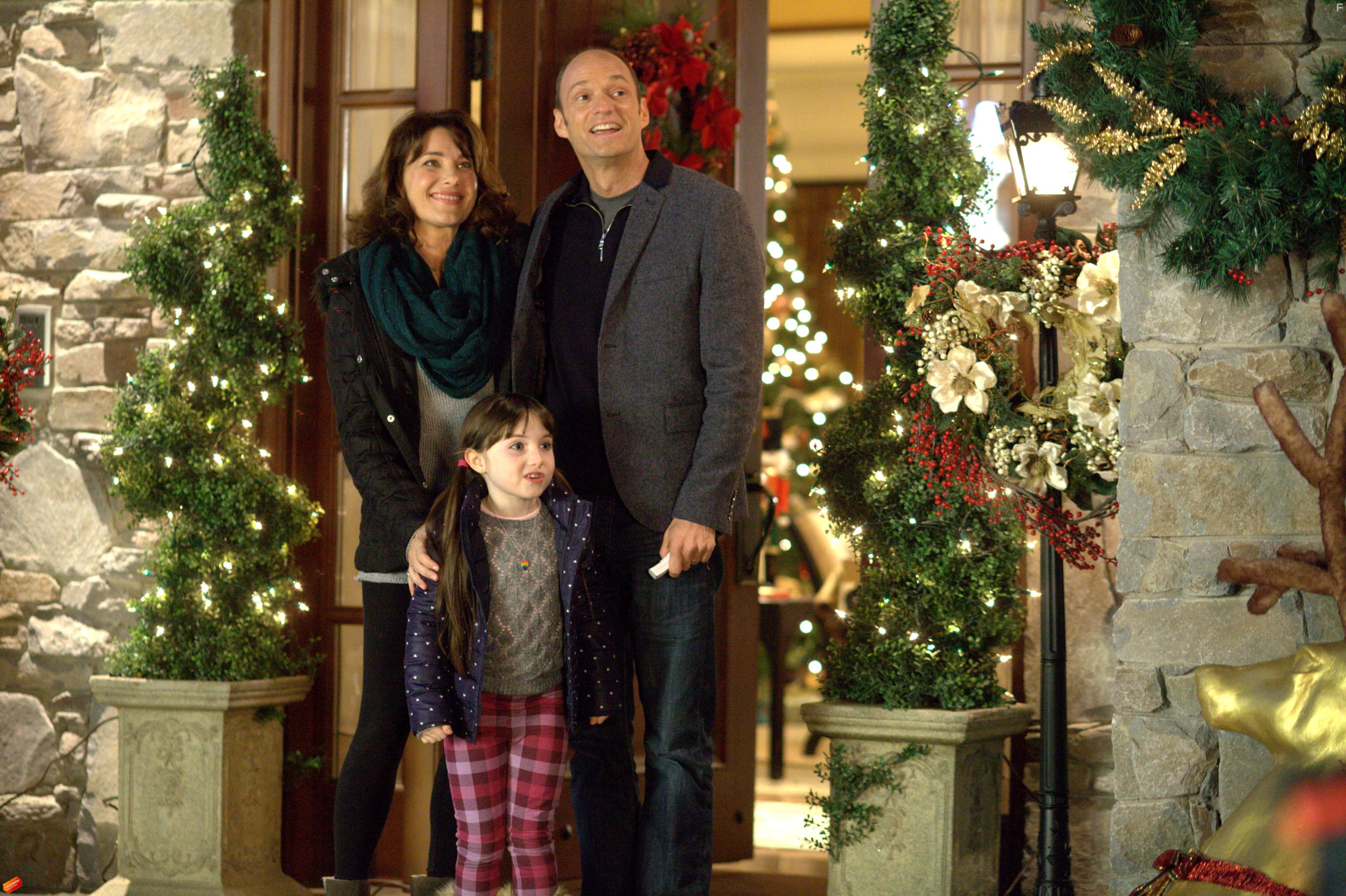 Подарок на Рождество 2 (2014)