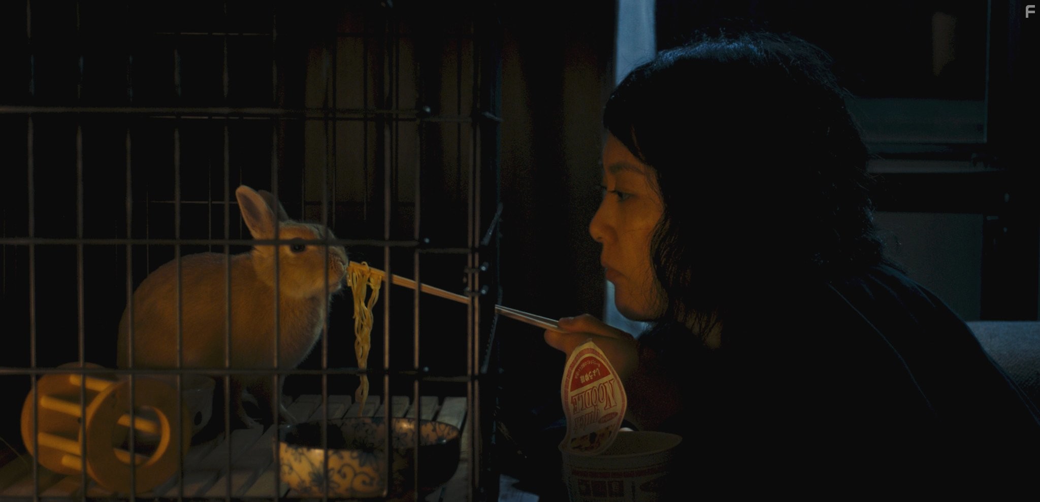 Rinko Kikuchi in Кумико - охотница за сокровищами (2014)