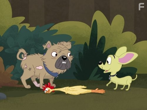 Щенки из приюта № 17