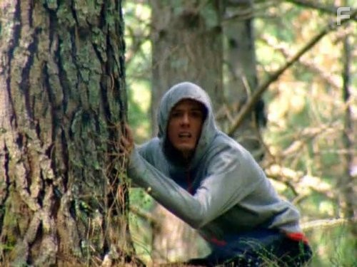 Power Rangers Jungle Fury (2008)