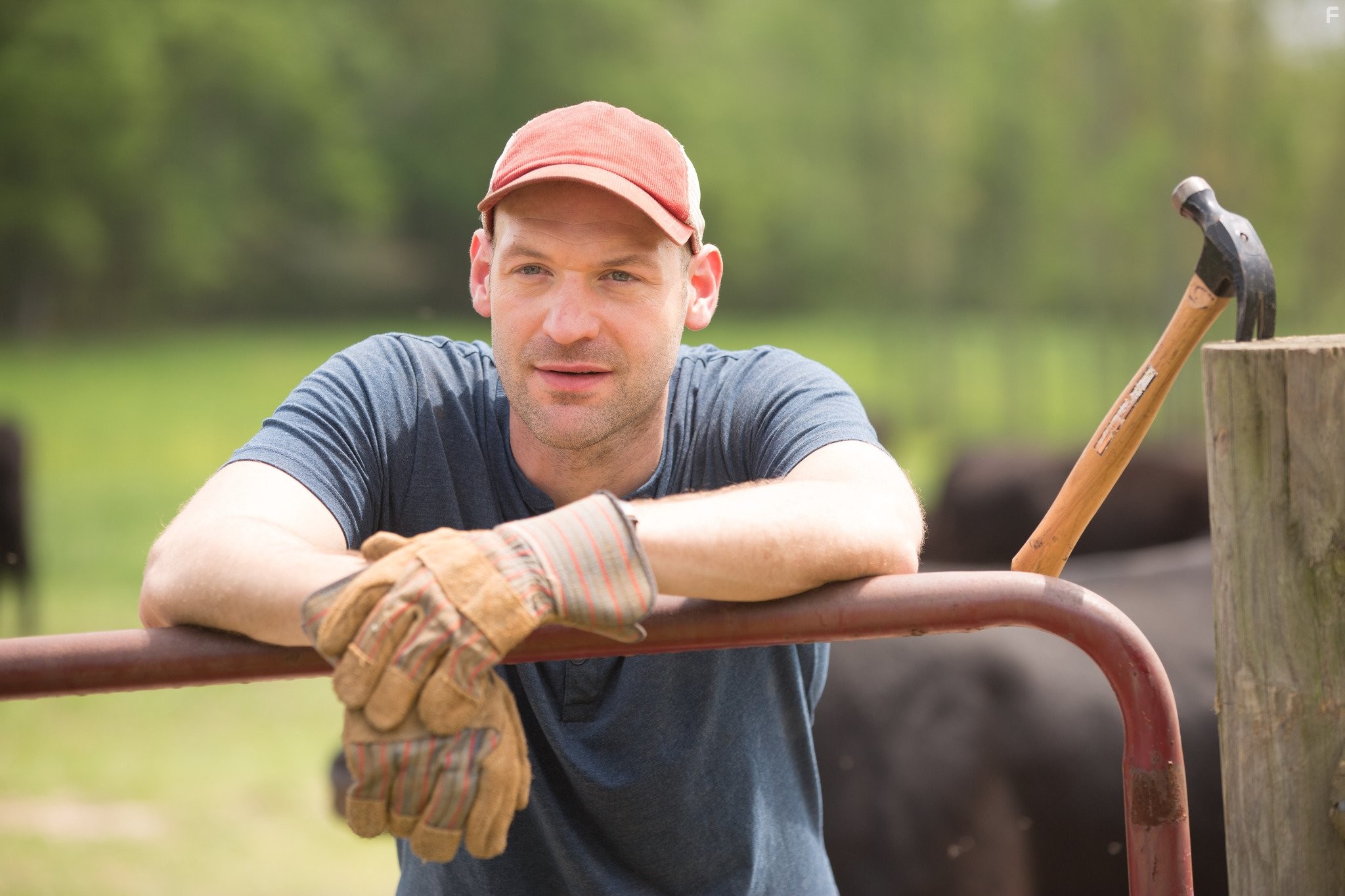 Corey Stoll in Приятная ложь (2014)