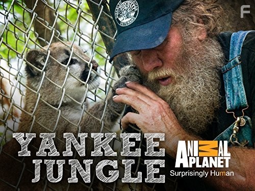 Animal Planet. Джунгли Северной Америки