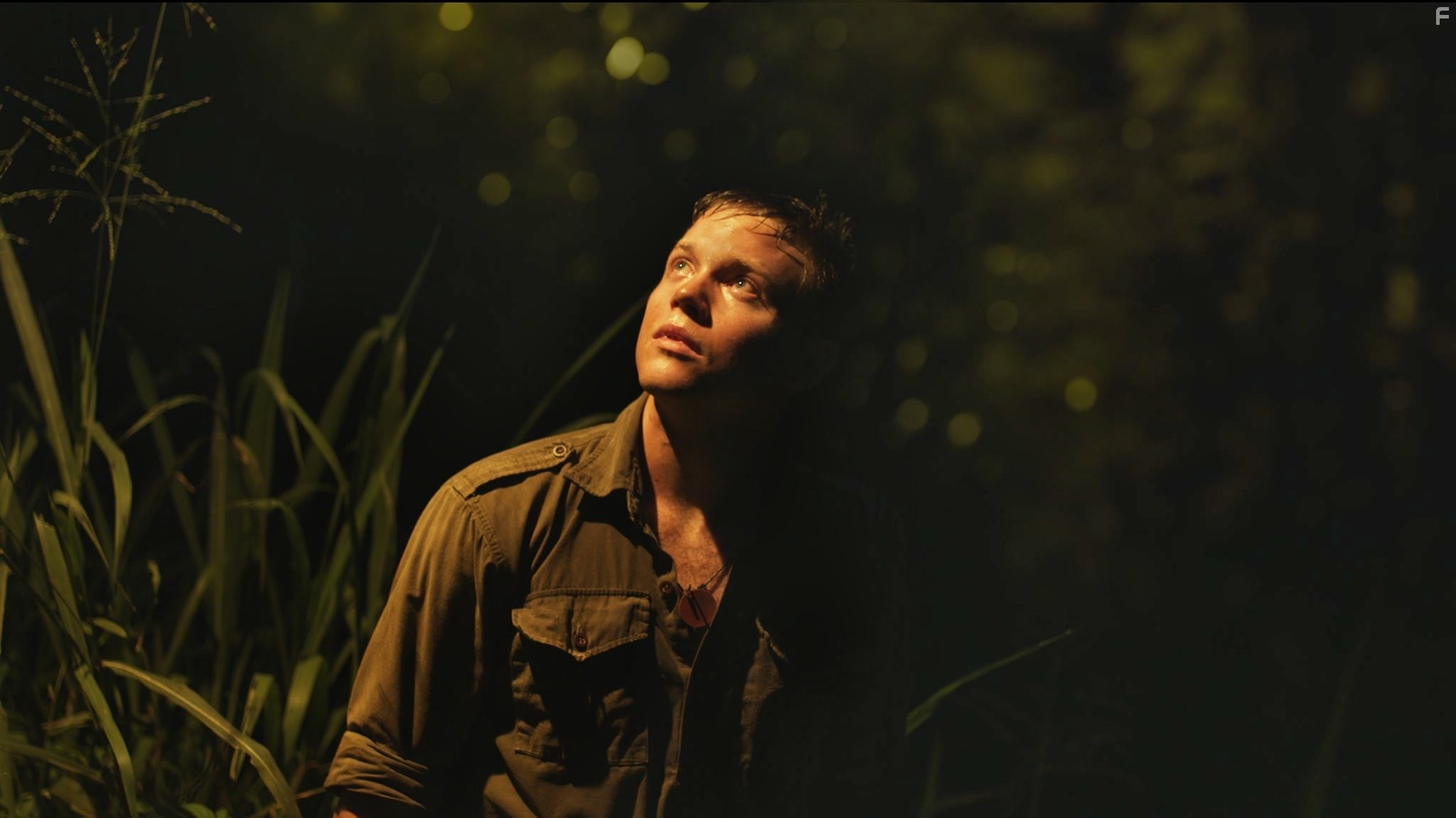 Khan Chittenden in Canopy (2013)