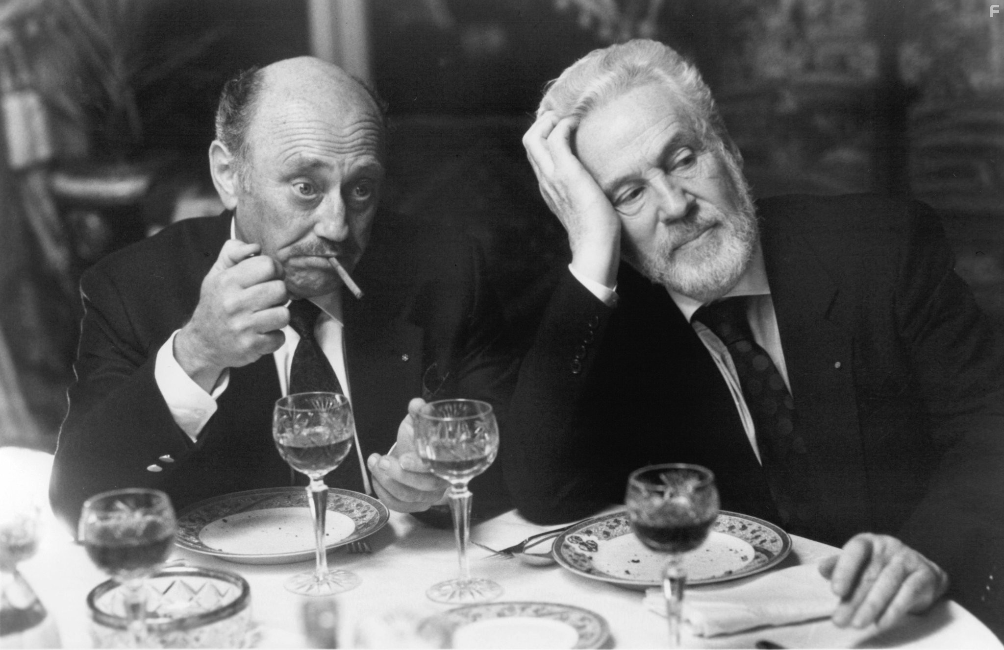 Meeting Venus (1991)