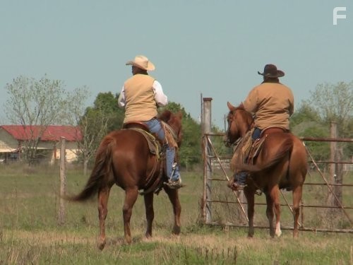 Call of the Wildman (2011)