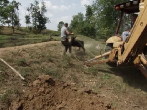 Call of the Wildman (2011)