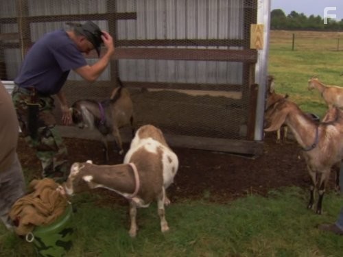 Call of the Wildman (2011)