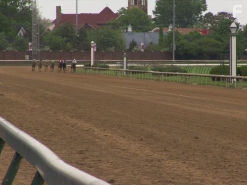 Call of the Wildman (2011)