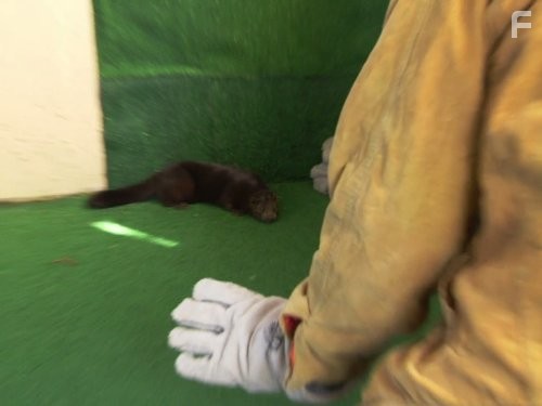 Call of the Wildman (2011)