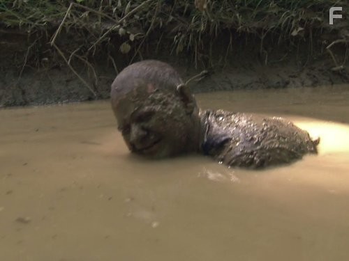 Call of the Wildman (2011)