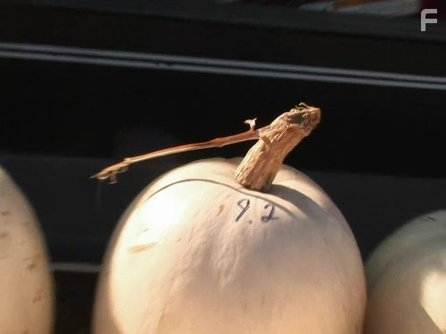 Wreckreation Nation with Dave Mordal (2009)