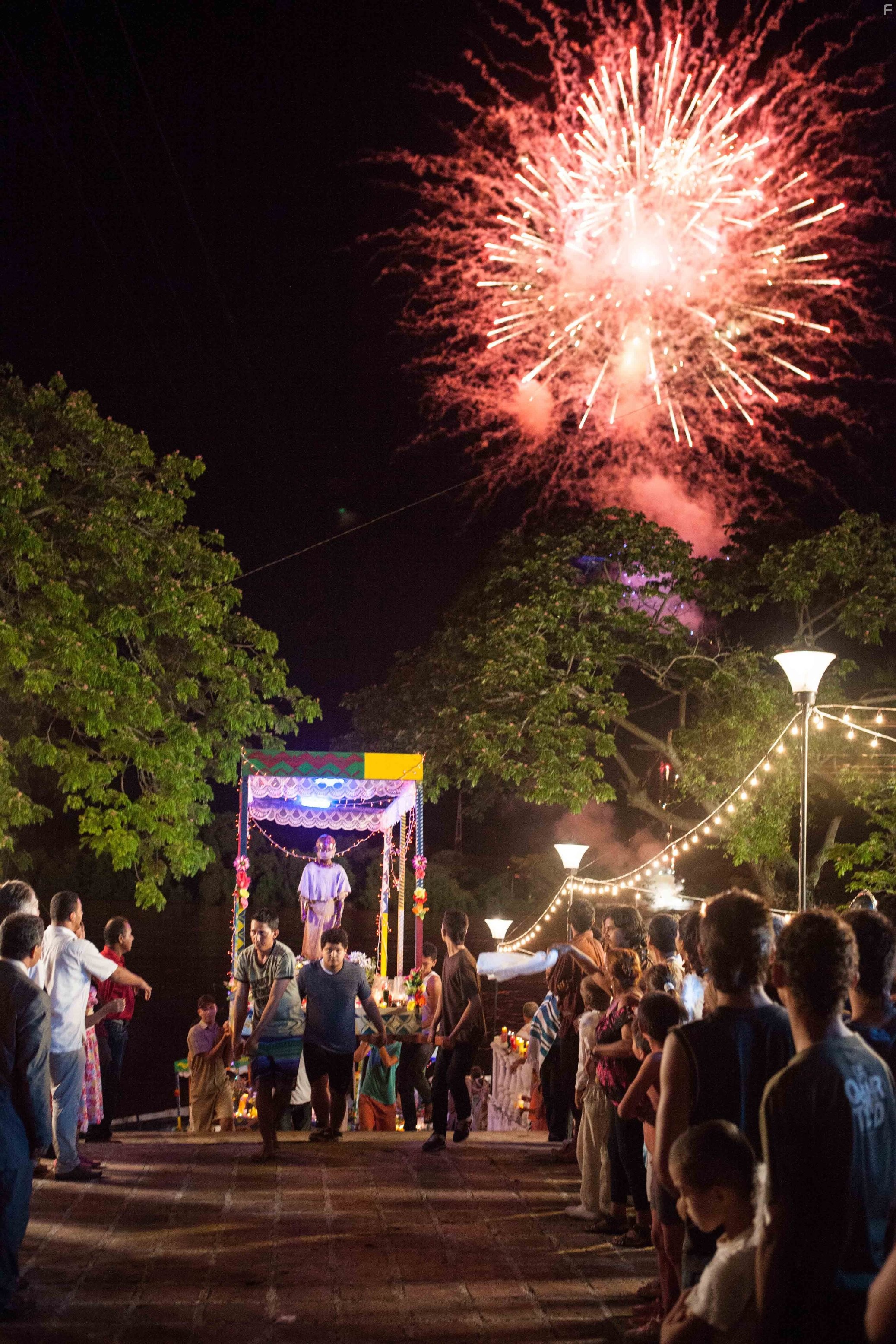 Из темноты (2014)