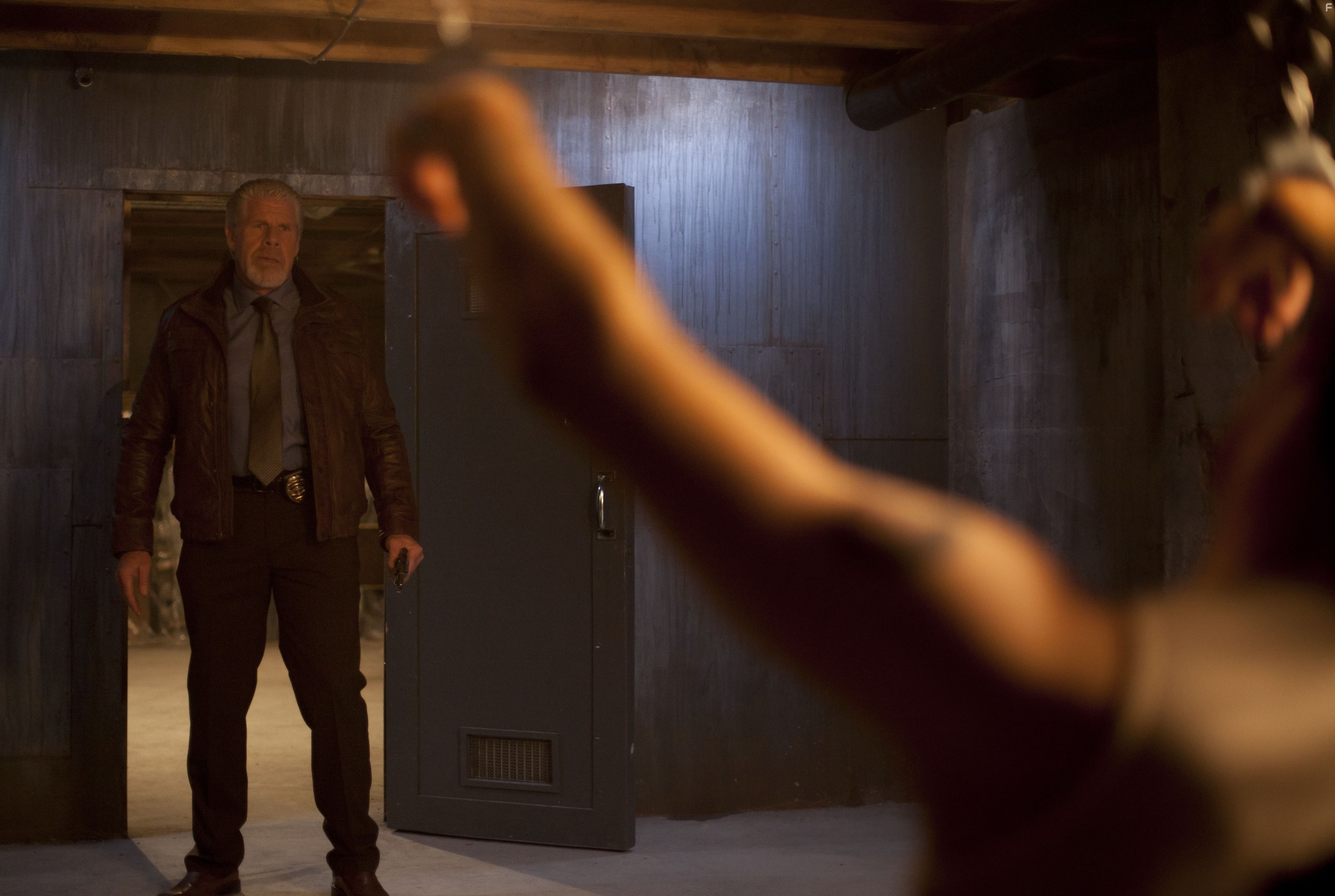 Ron Perlman in Ночь покера (2014)