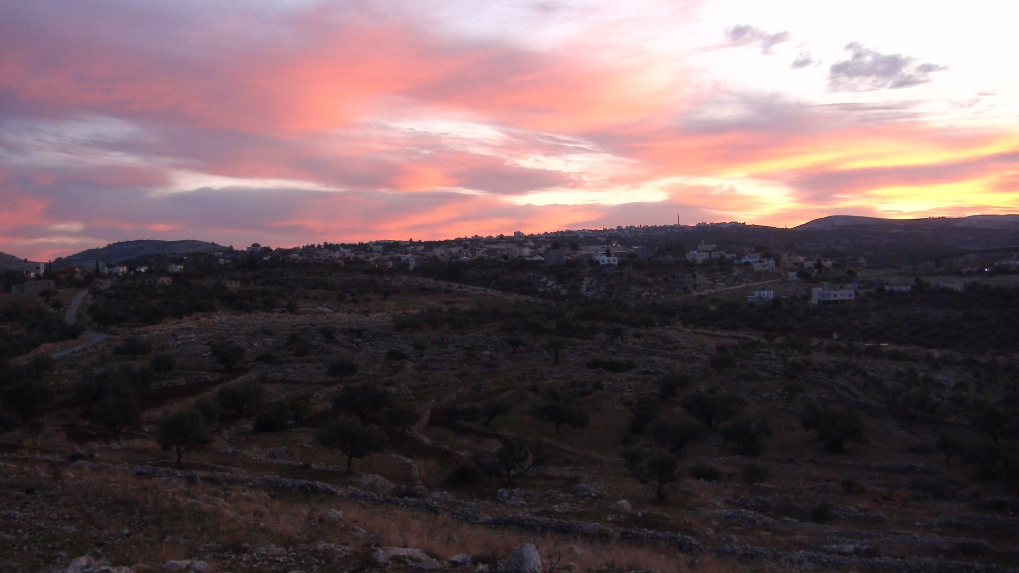 Пять разбитых камер