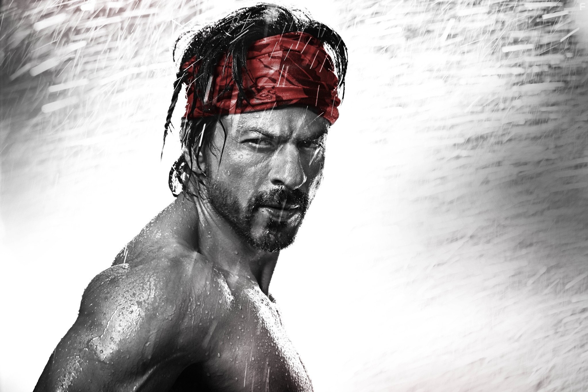 Shah Rukh Khan in С Новым годом (2014)