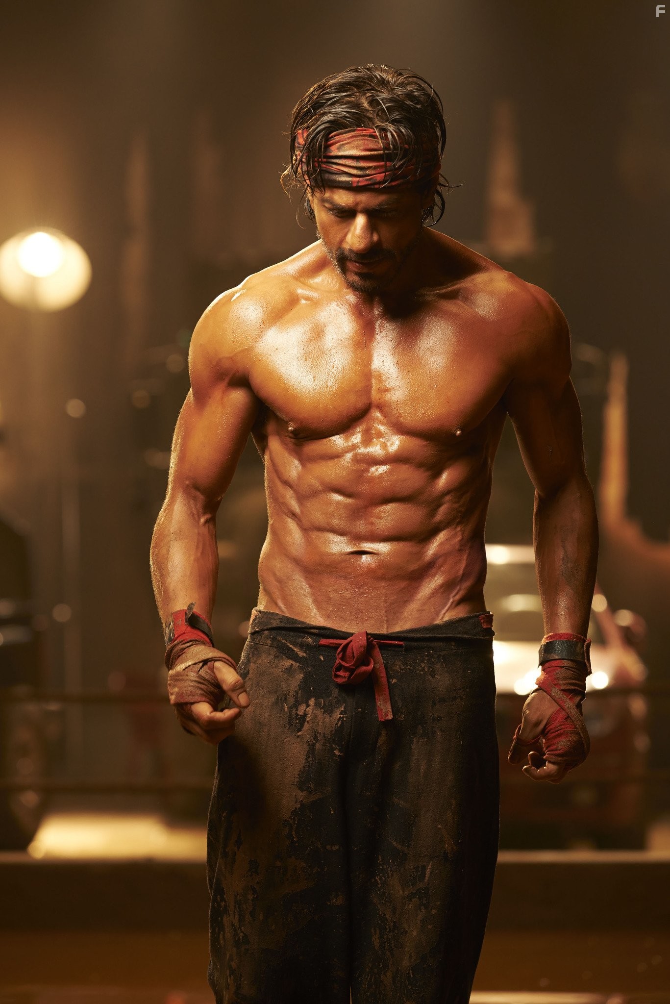 Shah Rukh Khan in С Новым годом (2014)