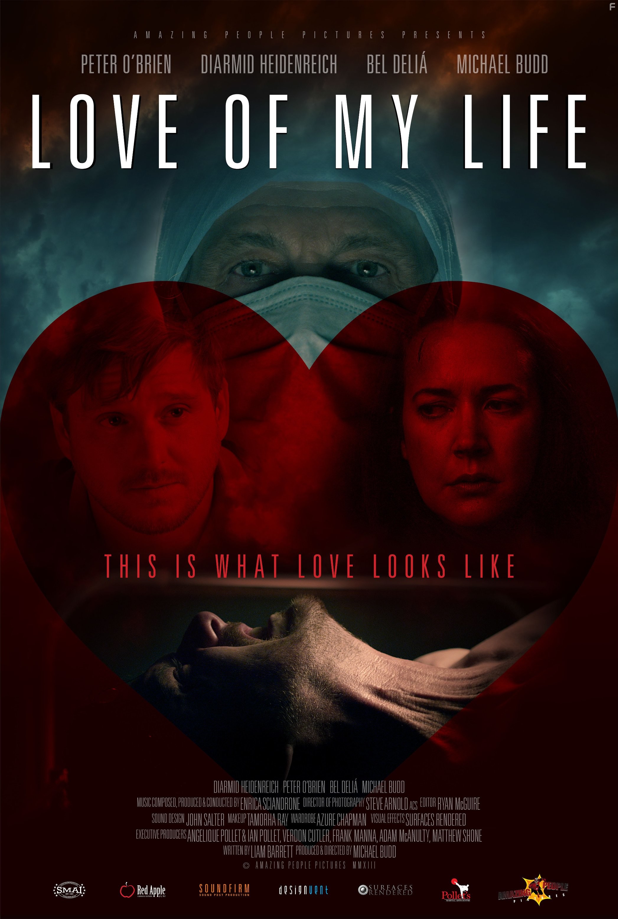 Love of my Life (2013)