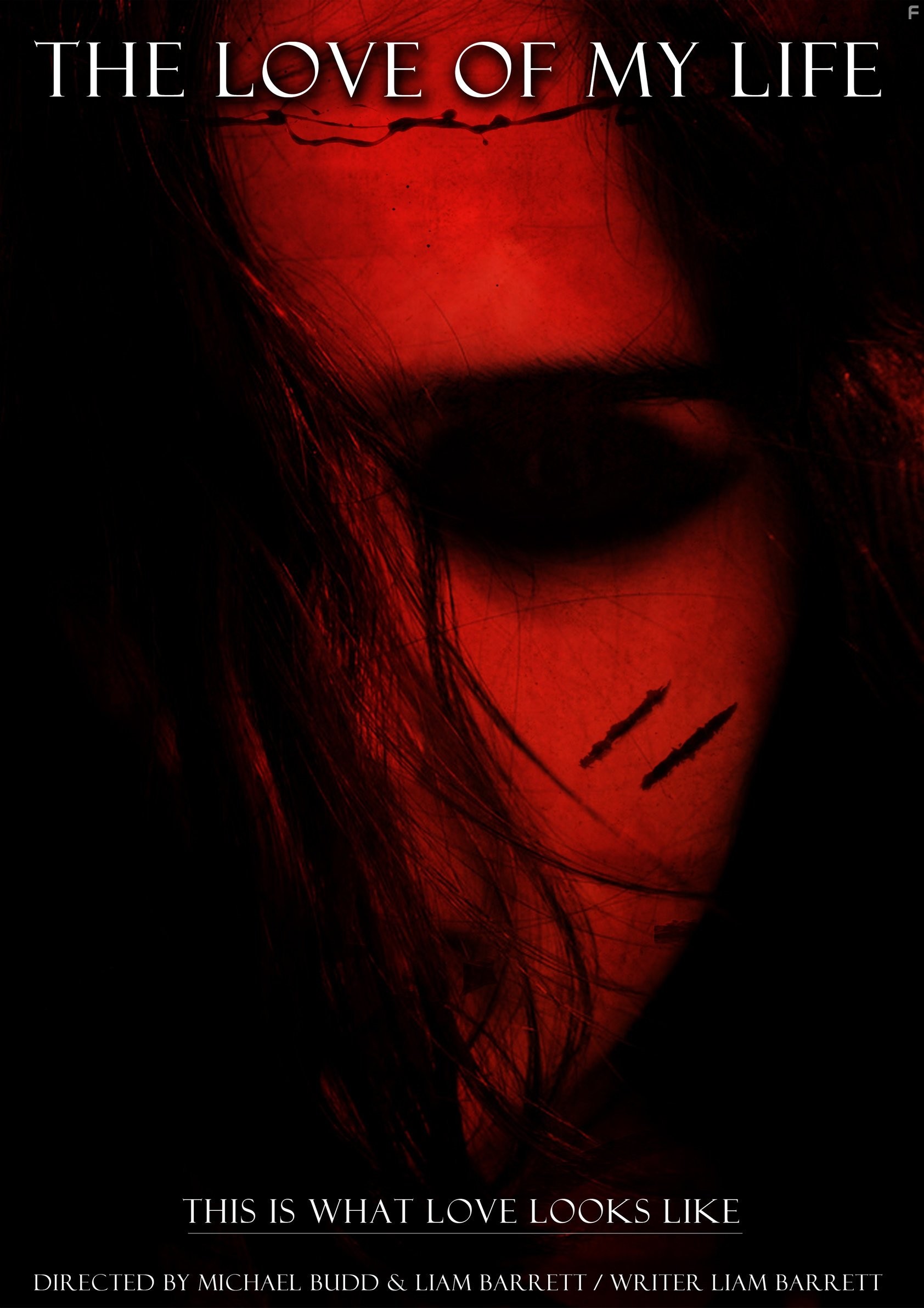 Love of my Life (2013)