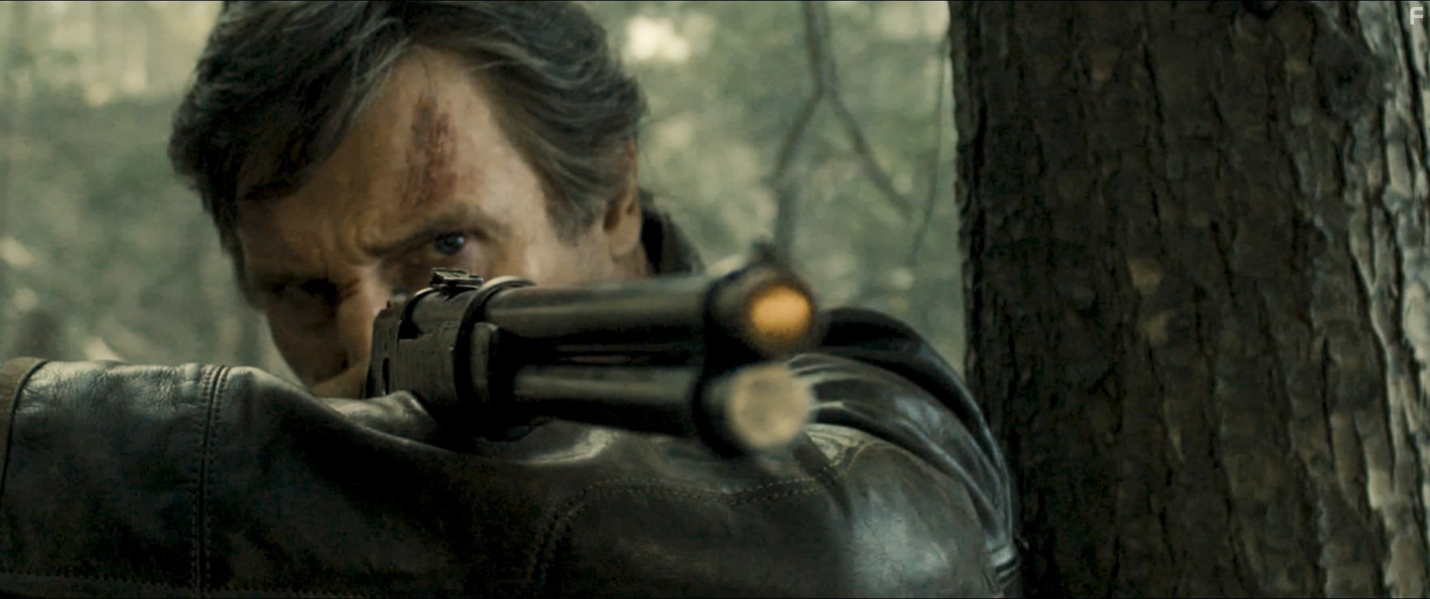 Liam Neeson in Ночной беглец (2015)
