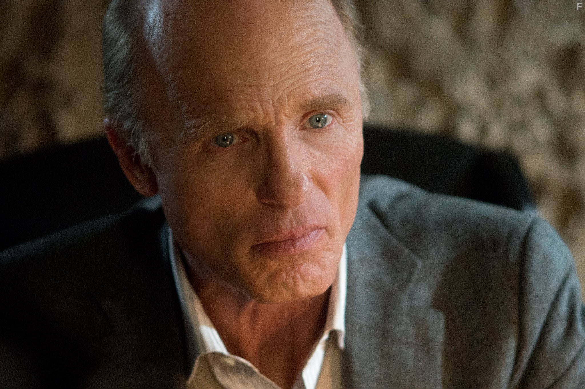 Ed Harris in Ночной беглец (2015)