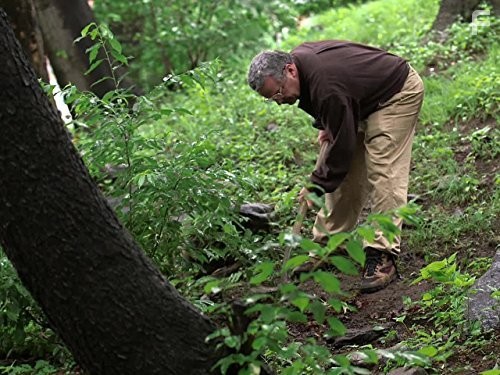 Mysteries at the Museum (2010)