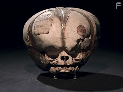 Mysteries at the Museum (2010)