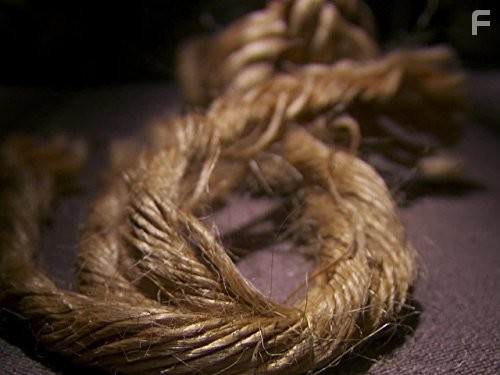 Mysteries at the Museum (2010)