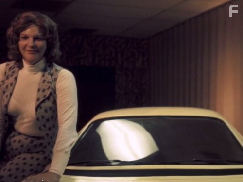 Mysteries at the Museum (2010)