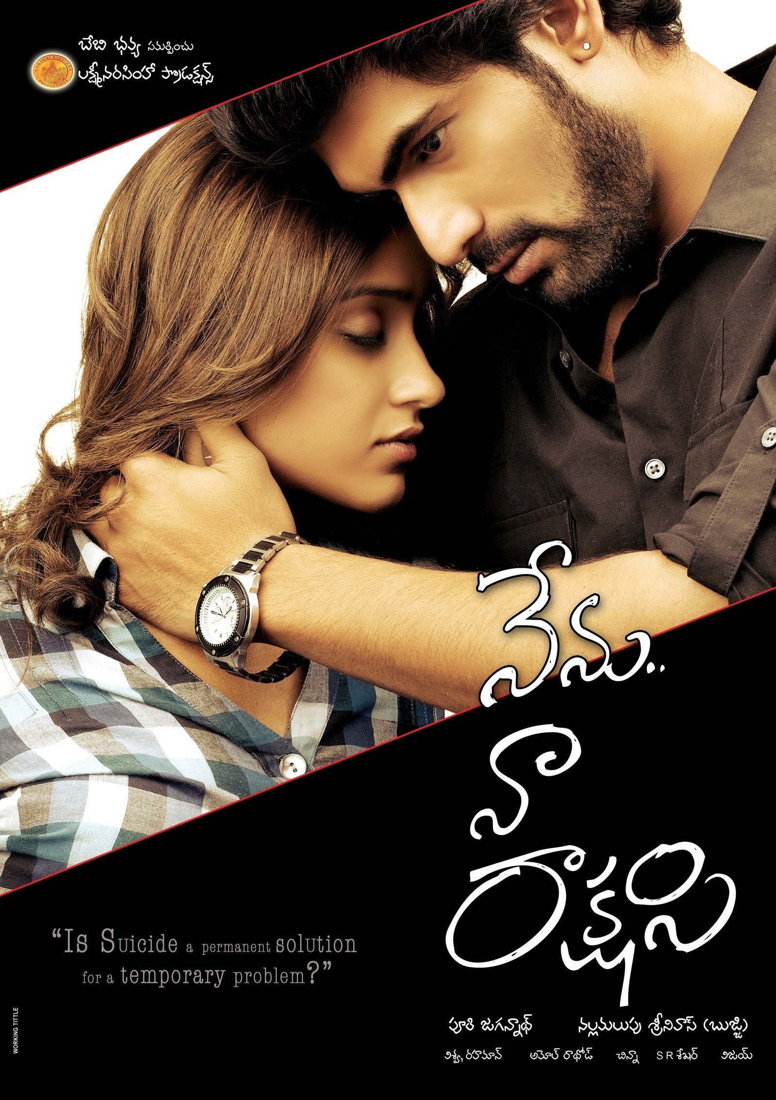 Nenu Naa Rakshasi (2011)