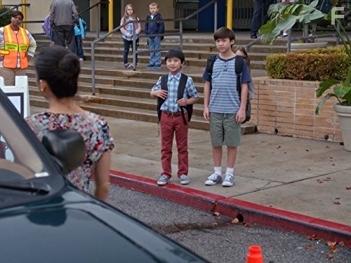 Трудности ассимиляции (2015)